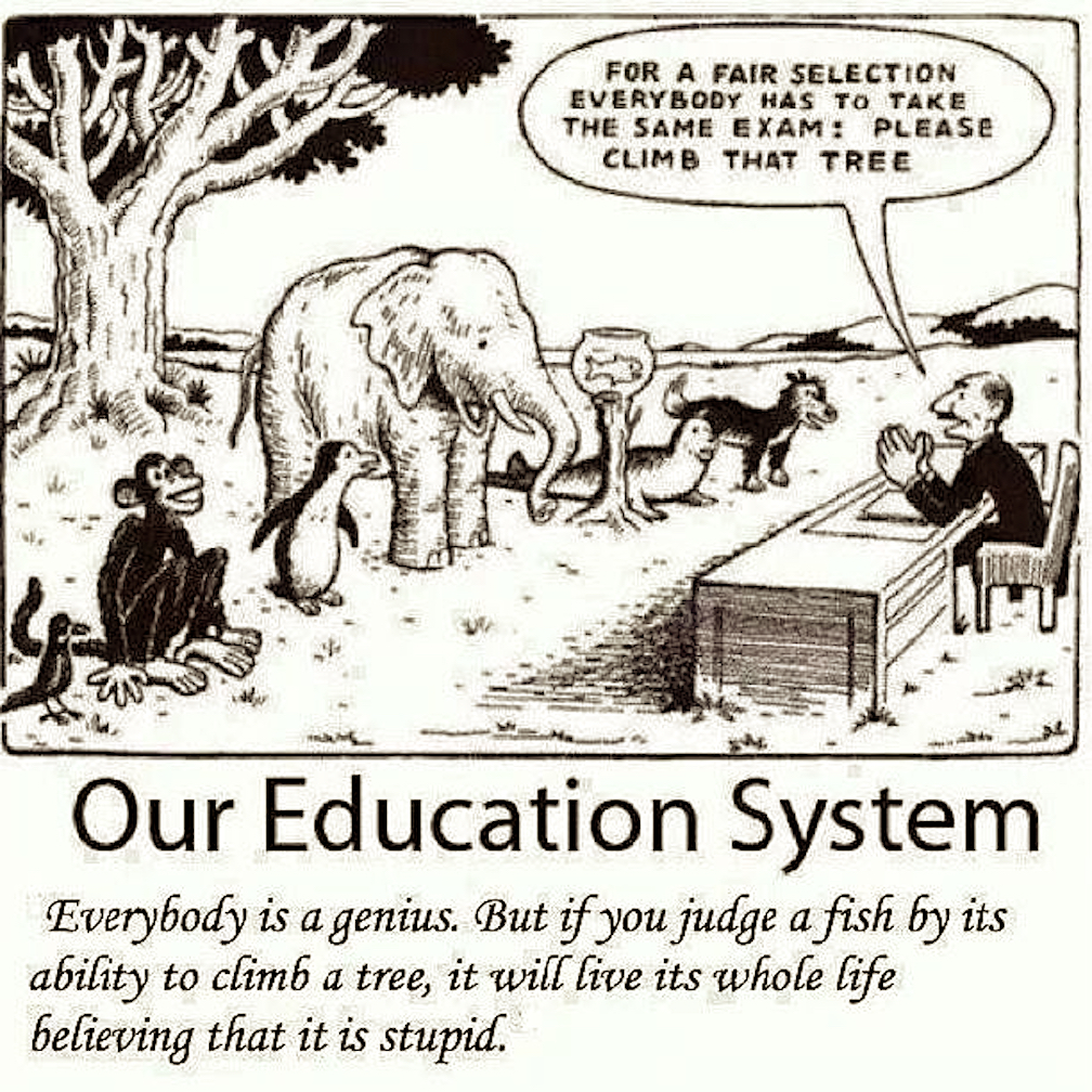“Fair For All”, One Size Fits All Education System